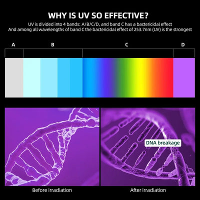 UV Sterilization Box